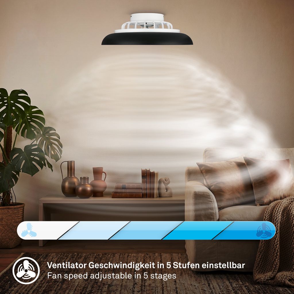 Windora Deckenventilator mit Beleuchtung - 24W, 2600lm, 5 Geschwindkeiten, CCT, Dimmbar, Schwarz, Weiß
