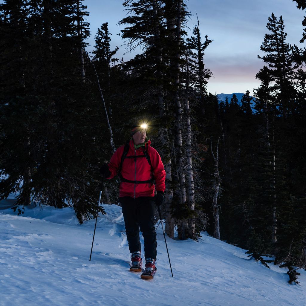 LED Stirnlampe. silber-schwarz. 12xLED/0.3W 8